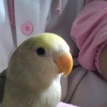 @[남들은 개판 나는 새판]말썽쟁이 뿌요 1탄@