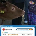 구하라 엉덩이 만진놈 신상 다<b>털</b><b>림</b> ㅋㅋㅋㅋ