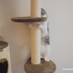 유봉이 앙즈 매거진 9월호 (유봉이 앙즈판)