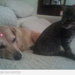 싸움의 <b>발단</b> ㅋㅋㅋㅋ