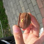 벌레와초콜렛의은밀한<b>동침</b>