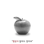 내일은 무슨날?? 대한민국 사람이라면 꾸욱~