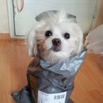 <b>우왕</b>! 택배왔당!!