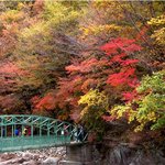 [단풍놀이] 가을에 떠나기 좋은 단풍놀이 여행, 전국 단풍 축제...