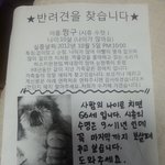 강아지를 찾습니다.,경기도 <b>안양</b>분들 도와주세요!!!!