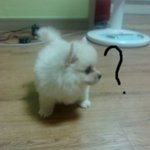 ♥여름이에게온 가을맞이♡