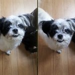 경남 <b>울산</b>에 사시는 분들 제발봐주세요..부탁드립니다.