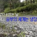 원더보이즈 타다3회 완전 <b>재미</b>짐ㅠㅠㅋㅋ