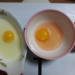 [사진] 빨간계란 어떻게 해야되나요 ㅠㅠ