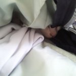 ●냥이판●  더이상 아가가아닌거같은 아가의 폭풍성장기