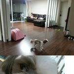 눈이 없는 아기.