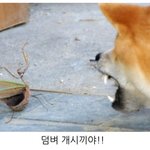 <b>정전</b>이네..