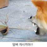 <b>똘</b>아이 아가야~