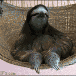 네이트판 영자.<b>gif</b>