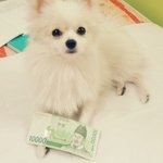 [25탄!!!] 세종대왕님 한글 만들어 주셔서 고맙습니다!