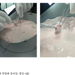 잉<b>여력</b> 폭발!!!! 요거트속의 딸기씨는 몇개?ㅋㅋㅋㅋ