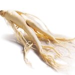 가을에 밝혀진 건강한 고려인삼/홍삼 의 진실