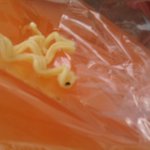 사진有)농심<b>새우탕</b>에서벌레나옴