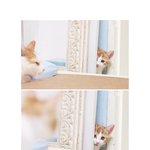 빼꼼, 삐용1호