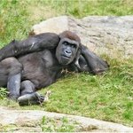 <b>워메</b>? 저거 내 부랄아니여?