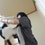 [냥판] <b>대두</b>김용배의 다내꺼시리즈