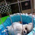 여름이에게온 가을맞이