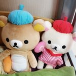 리락쿠마 미용실 가다 gogo~!!!