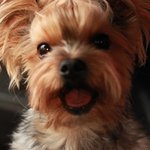 첫글..막내 <b>루비</b>와 어머니의 57번째 생신...