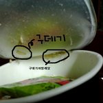 구데기나온 블랙신컵!!!(동영상있음)