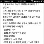 [猫판] 엘냥아 니 정체는 무엇이냐 !