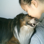 너무나두 귀여운 말티즈- 우리애기 <b>미미</b>!