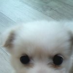 나름 큐트한 민식이