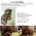 사진有)) 한달, <b>만남</b>부터 이별까지