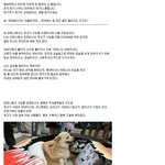 개고기에 대한 <b>소수</b>의 생각들