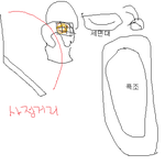 지금똥마려워서 똥톡ㄱ씀..