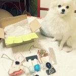 한글이 한구리 항구리  [26탄!!!]