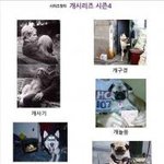 <b>개</b>시리즈 <b>총</b> 정리 ! ㅋㅋ.... jpg