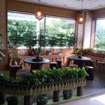 아멘충성교회의 <b>화초</b>가꾸기와 분재 이인강 목사의 색다른 자랑!