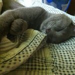 러블계의 얼짱 고열무. [2탄]