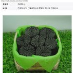 <b>디씨</b> 에는 이런애들도 있내
