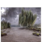 고화질 <b>바탕</b>화면의 진실