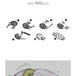 <b>키위</b>의진실(펌)