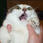 이 <b>미천</b>한 나그네를