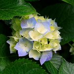 <b>이</b>인강목사님 <b>이</b> <b>알</b>바하는건가?