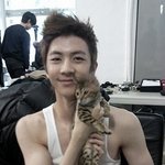고양이 좋아하는 남자 아이<b>돌들</b>?
