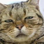 <b>진녀</b>야~~!!!