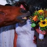 사진 찍는데 끼어든 귀여운 동물 <b>불청객</b>들