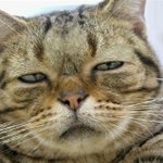 <b>진녀</b>야 39먹으면