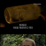 <b>베어</b>형도 사람이다