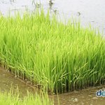 맞춰야할지 맞춰<b>가야</b>할지~